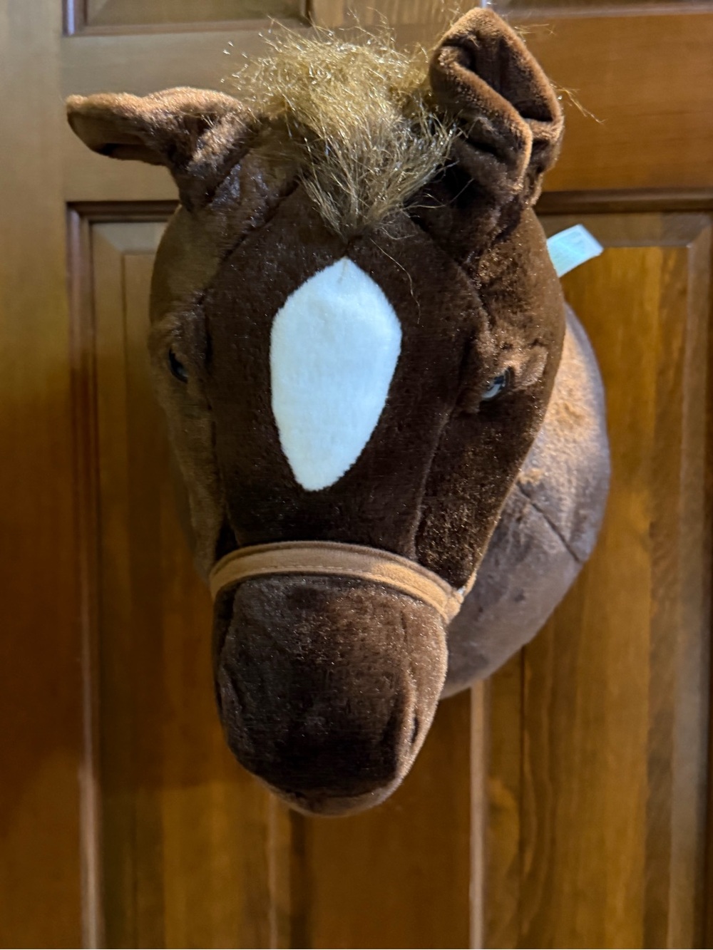 Vtg Sound N Light Singing Horse Head Mount Animated Rare Tested & Working 12”